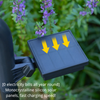 New Solar Lawn Lights – Outdoor Garden Decoration, Solar Stake Lights for Pathway & Roadway Lighting