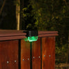 Solar Step Light-Waterproof (For garden&courtyard)