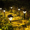 Solar Lights Outdoor Waterproof, Solar Garden Lights for Outside, Garden Decor for Yard, Patio, Landscape, Planter, Walkway (Warm White)