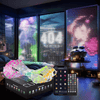 🔥Last Day Special 74% OFF🔥DIY Smart LED Curtain Sync Lights